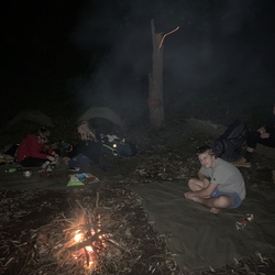 2019