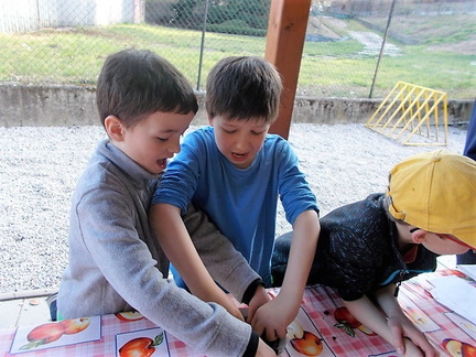 Jaro Volyně (31)
