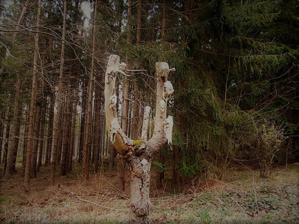 Jaro Volyně (41)
