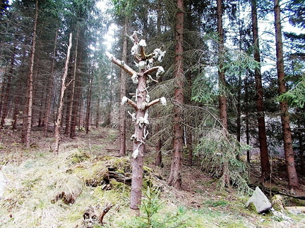 Jaro Volyně (42)